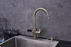 4-in-1 Nexa Digital - Antique Brass