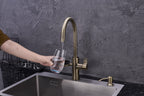 4-in-1 Nexa Digital - Antique Brass