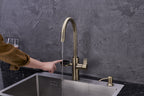 4-in-1 Nexa Digital - Antique Brass