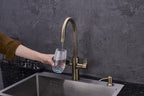 4-in-1 Nexa Digital - Antique Brass