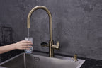 4-in-1 Nexa Digital Pullout - Antique Brass