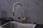4-in-1 Nexa Digital Pullout - Antique Brass
