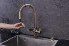 4-in-1 Nexa Digital Pullout - Antique Brass