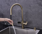 4-in-1 Nexa Digital Pullout - Antique Brass