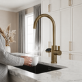 4-in-1 Nexa Digital - Antique Brass